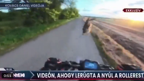 VÍDEO SURREAL: Coelho derruba motoqueiro e sai correndo
