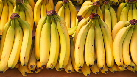 Bananas: Mitos e cuidados essenciais para o consumo