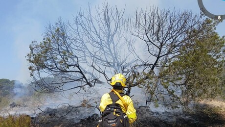 Incêndio destrói 400 hectares na maior reserva ecológica da Europa