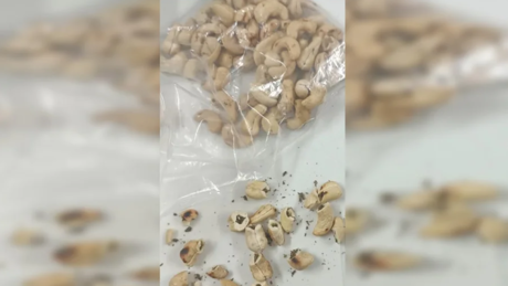 Mulher é presa ao tentar entrar em presídio com castanhas recheadas de maconha
