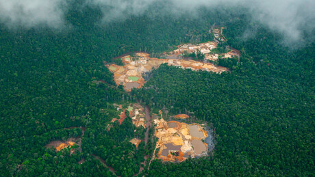 Da devastação à retomada: como Brasil e seus vizinhos estão virando a maré contra o garimpo ilegal na Amazônia