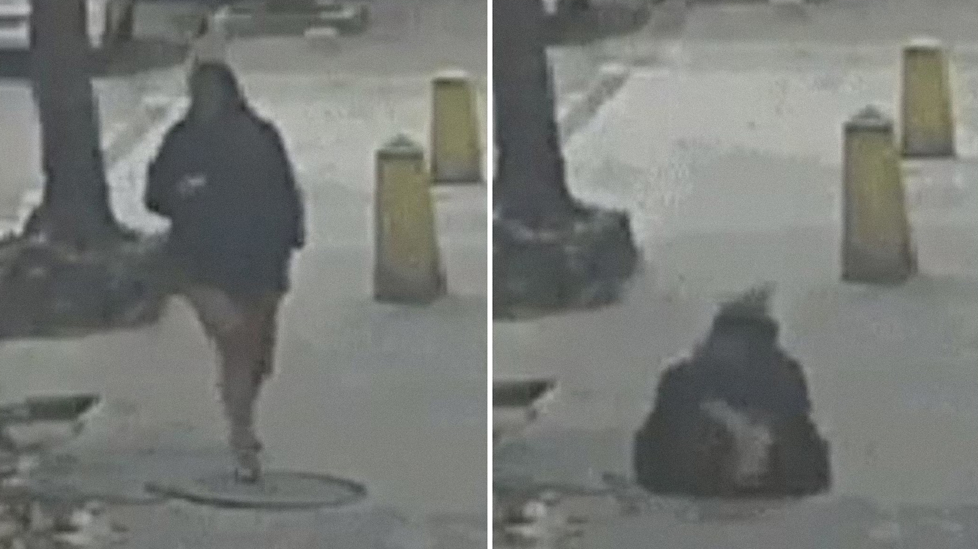 VÍDEO: Mulher faz visita às Tartarugas Ninja no Rio de Janeiro