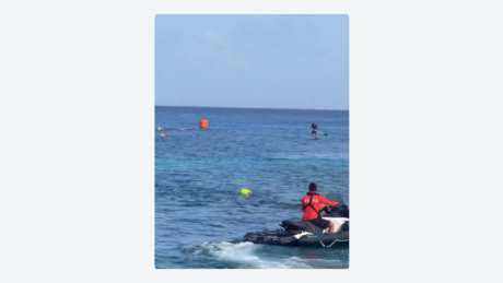 VÍDEO: Crocodilo invade competição de natação infantil no México
