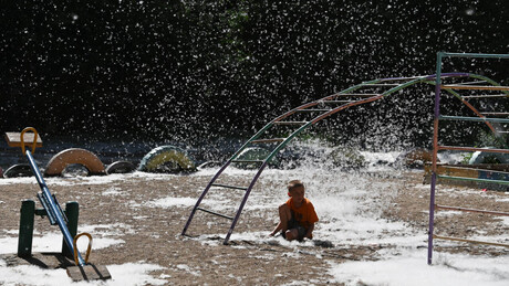 FOTOS: Neve de verão? Saiba o que é a penugem branca que cobre cidades russas