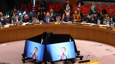Brasil felicita novos membros do Conselho de Segurança da ONU e defende reforma do órgão