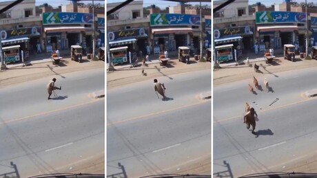 VÍDEO: Milagre ou IA? Aleijado 'se cura' ao correr de cachorros raivosos