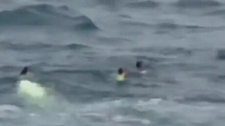 Família é arrastada ao mar por onda enquanto caminhavam pela praia; criança está desaparecida