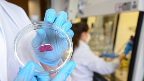 Brasil desenvolve produção de carne em laboratório