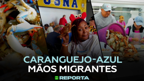 Caranguejo-azul: mãos migrantes — RT Reporta
