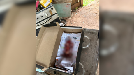 VÍDEO: Feto é encontrado dentro de caixa de sapatos no interior do Amazonas