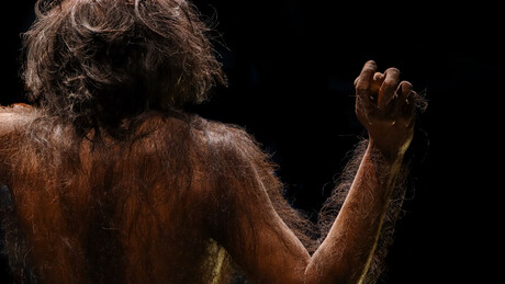 Ser humano não foi o primeiro animal a dominar o fogo; entenda