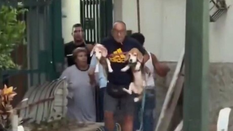 VÍDEO: Homem deixa área atingida por terremoto na Venezuela com dois cães nos braços