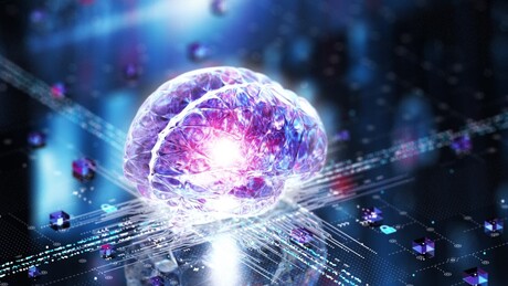 Irã desenvolve protótipo de 'cérebro artificial' com neurônios humanos vivos