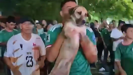 Festa da torcida do México vira palco de milagre e salva cadela perdida