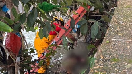 IMAGENS FORTES: Mulher de 28 anos é achada sem vida em igarapé em Manaus