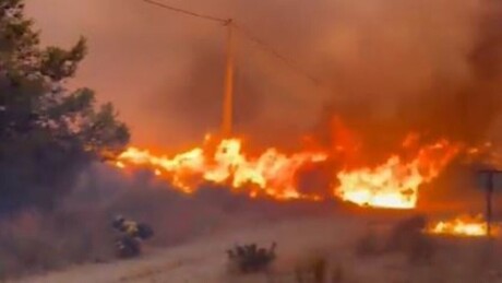 IMAGENS CHOCANTES: Incêndios devastadores trazem destruição e morte ao sul da Espanha