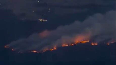 VÍDEO: Incêndio de grandes proporções atinge floresta histórica na França