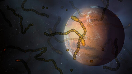 Combustível da vida: cientistas encontram ingrediente do dia a dia no espaço