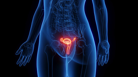 Duas vaginas: entenda a rara condição e como ela afeta o sexo e a gravidez