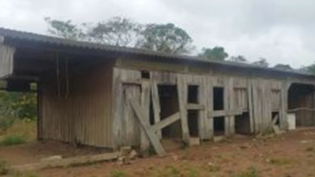 Idoso em condição análoga à escravidão é resgatado de fazenda isolada no Pará