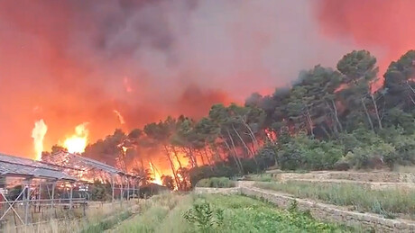 VÍDEOS: Incêndio avança na França e provoca evacuação de milhares de moradores