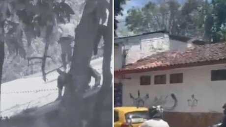 VÍDEO: Caos em prisão — detentos tentam fuga pelo telhado após rebelião