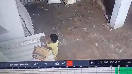 VÍDEO FORTE: Criança de 3 anos morre ao ser picado por cobra venenosa escondida em lixo na Índia