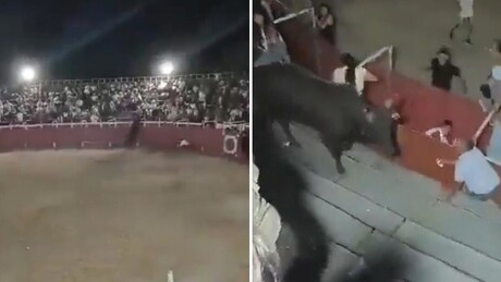 VÍDEO ASSUSTADOR: Touro invade arquibancada durante tourada na Colômbia e deixa pessoas feridas