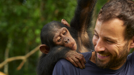 Estudo revela que macacos compartilham as mesmas bases do conhecimento geométrico que humanos