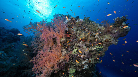 Japão fará teste em larga escala para extrair terras-raras do fundo do mar