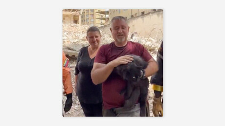 VÍDEO: Um gato é resgatado dos escombros em Caracas 33 dias após os terremotos