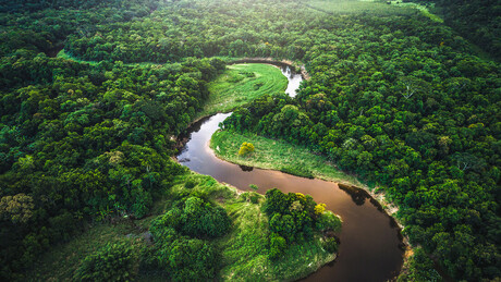 Centenas de estruturas descobertas 'transformam completamente' o que se acreditava sobre Amazônia
