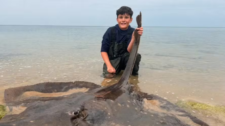 Adolescente de 14 anos fisga arraia gigante e bate recorde