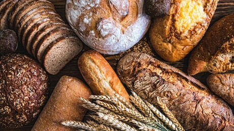 Cientistas russos desenvolvem pão para perder peso; saiba de que é feito