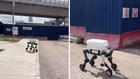 VÍDEO: Moscou testa novos robôs de entrega