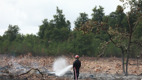 Calor extremo afetará duramente as finanças da França, entenda