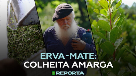 Erva-mate: Colheita amarga — RT Reporta
