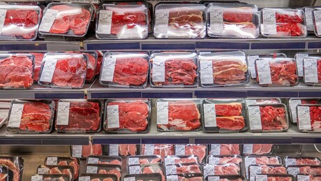Noruega segue UE e fecha mercado para carne brasileira em setembro