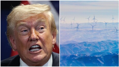 Energia eólica:  a cruzada de Trump contra moinhos de vento agora tem a China como alvo