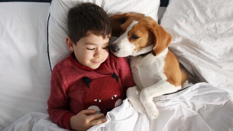 Bebês que convivem com cães podem adoecer menos, aponta estudo