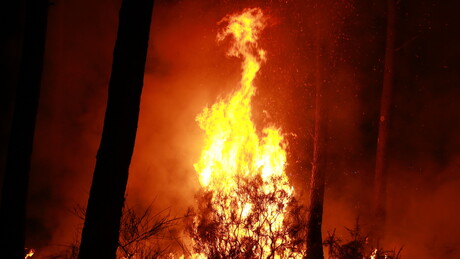 Fogo volta a avançar no sudoeste da França e força nova evacuação de moradores