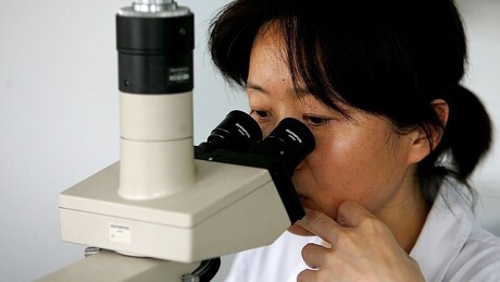 Cientistas chineses criam tecido vivo que se regenera sozinho