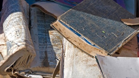 Transformando cultura em algoritmos: como e por que empresas de IA compram e destroem livros físicos