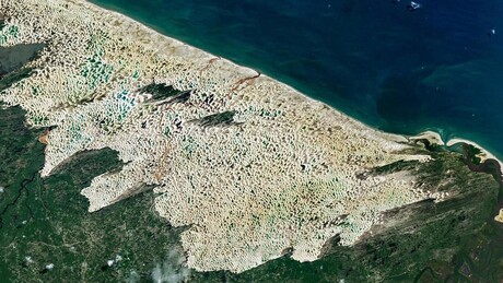 NASA divulga imagem de satélite impressionante de 'deserto de água' na América do Sul