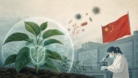 China desenvolve método revolucionário para combater doenças em plantações