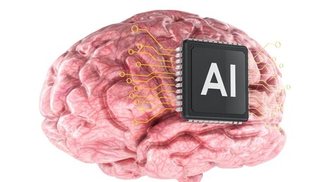 Cientistas desenvolvem centro de dados biológico impulsado por neurônios humanos vivos