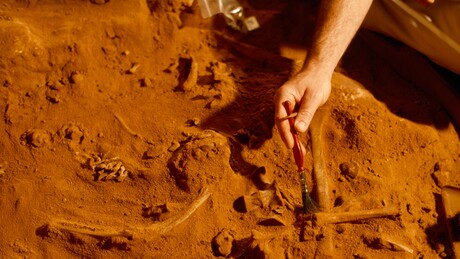 IMAGENS: 'De um estilo nunca visto antes' — Estátua de 11 mil anos é achada na Turquia