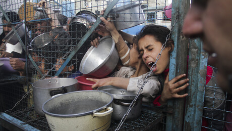 Segurança alimentar piora para quase metade das famílias em Gaza — agência da ONU