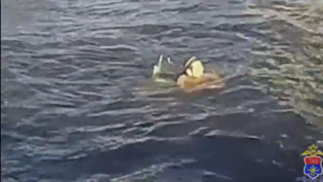 VÍDEO: Noiva-heroína mergulha em rio para salvar convidado