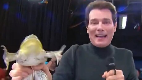 Celso Portiolli e SBT têm novo revés em ação por maus-tratos a animais